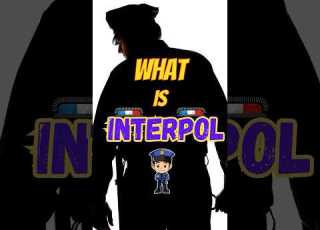 Ye INTERPOL Kya Hai Shorts Shortsvideo
