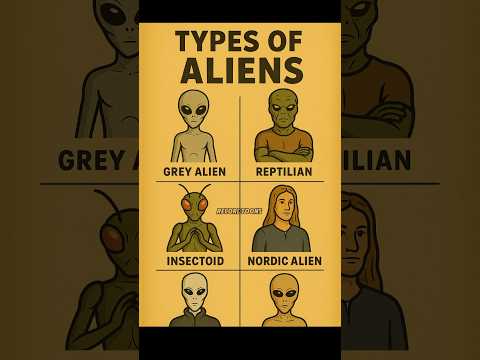 Unknown Alien Species Top 4 Mysterious Types Shorts