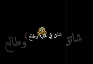 ضنيتك مازلت نايم شانق في عقبة و طالع ضنيتك مازلت نايم شانق في عقبة و طالع