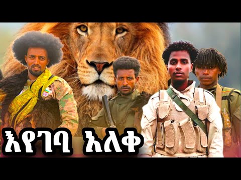 New Ethiopian Music Fano Desalegn Amare Eyegeba Aleqe አዲስ የፋኖ ሙዚቃ ደሳለኝ አማረ እየገባ አለቀ