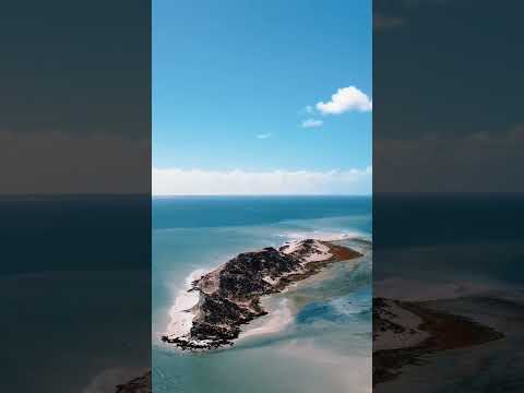 Dragon Island Dakhla Iaamkb Shorts