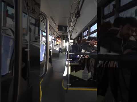 Bmc Procity İETT özel üretim