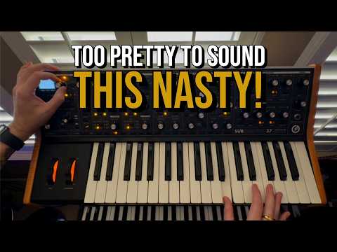 Moog Subsequent 37 Überblick Erste Eindrücke