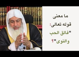  ما معنى قوله تعالى فالق الحب والنوى