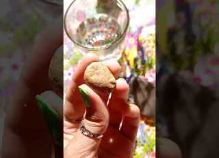 Mini Stone Painting Beginners Shorts Stoneart