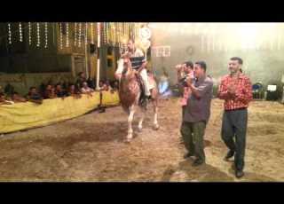  حفل دمياط خيل عبدالله ابو جبل المحور