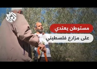 شاهد مستوطن إسرائيلي يتعمد تخريب أرض مزارع فلسطيني وقطع أشجار الزيتون ويمنع فريق العربي من التصوير