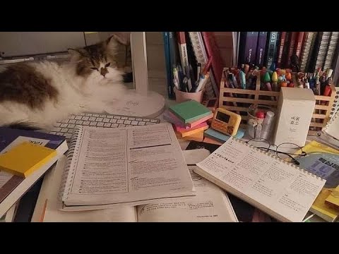 أجمل فيديو تحفيزي يمكن أن تسمعه عن الدراسة