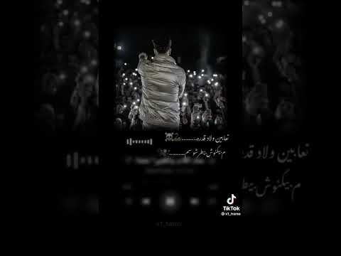 تعابين ولاد قادره