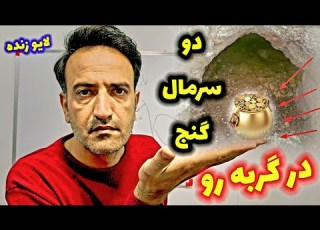 معرفی دو گربه رو که سرمال گنج دارند