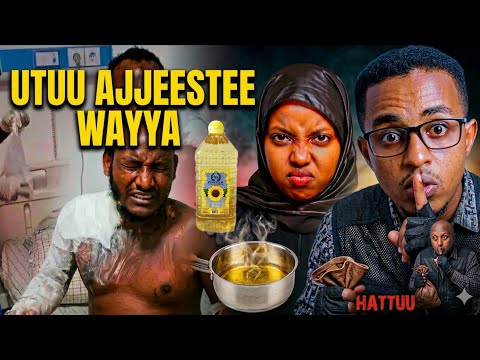 Maalif Zayitiidhaa Gubde Icciitii Abdi Regasa Soba Cimaa