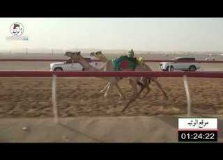 الشوط 25 الشاهينيه لـ علي مطر عميره الشامسي 2 8 شارة الشيخ طحنون 2022 8 6 فطامين سيح صبرة