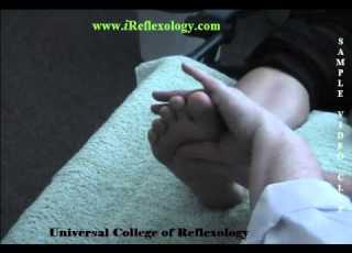  Universal College Of Reflexology Spinal Twist Relaxation Sample
