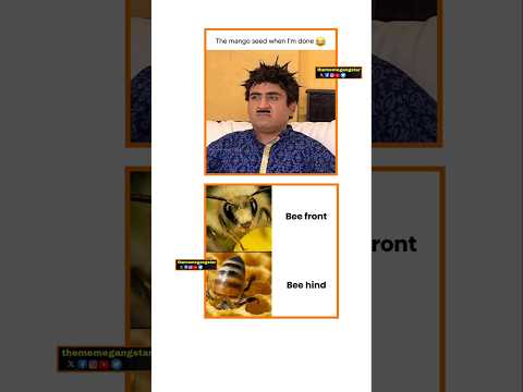 Mango Seed Trending Viral Funny Memes Shorts Comedy Lol Ytshorts Mango Summer Usa Uk