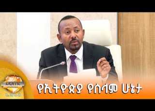 የኢትዮጵያ የሰላም ሁኔታ ሰኔ 30 2018 What S New July 07 2026