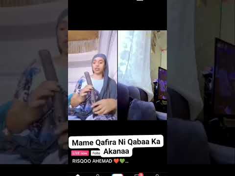 Risqo Ahmad Oromotiktok Risqo Oromo Oromo Love Oromotiktok
