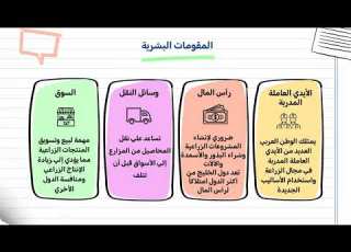  النشاط الزراعي في وطننا العربي درس 1 وحدة 3 ترم الاول منهج 2026 الصف السادس الابتدائي