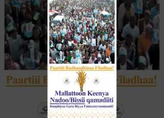 Gootummaan Maqaa Qaba Injifannoon Mata Duree Qaba Itoophiyaa Gara Biyya Fakkeenyummaatti