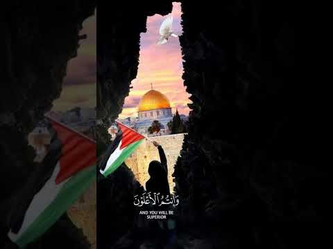 قرآن كريم بصوت الشيخ ياسر الدوسري