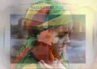  GULA MERDINE SERHILDANA NISEBINE