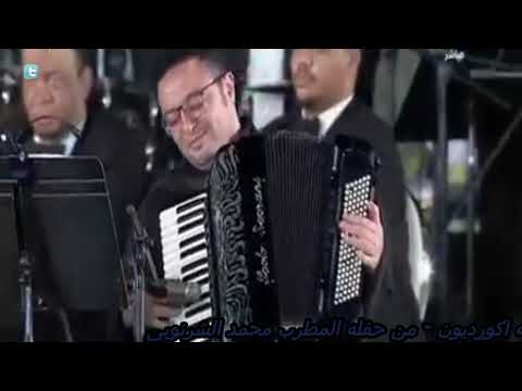 الدكتور وائل النجار نغم الاكورديون من حفل الاوبرا المصريه