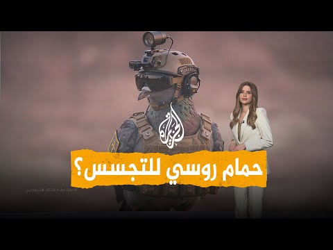 شبكات حمام يتحول لجواسيس روسيا تستخدم الطيور كمسيرات