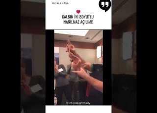 Incredible Two Dimensional Expansion Of The Heart