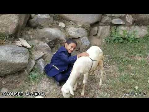 أجمل أغنية ايوب طارش وادي الضباب مائك غزير ساكاب أجمل أغنية ايوب طارش وادي الضباب مائك غزير ساكاب