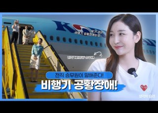  전직 대한항공 승무원이 말해주는 비행기에서 공황장애 대처법