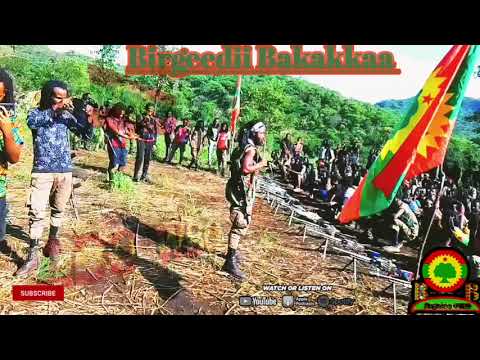 Walaloo Jaal Qindeessaa Ilma Oromoo Humna Birgeedicha Bakakka Wbon Haa Waaru