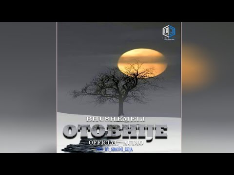 BHUSHEMELI NG WANA BHALIKI SONG OTOBHIJE OFFICIAL AUDIO MUSIC 2026 BY ABELLY MACOMPYUTER TZ