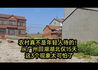  The Countryside Is No Place For Young People Only 15 Days After Returning To Hubei From Guangzho