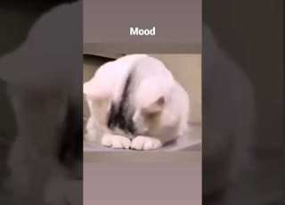  انا لما حد يزعلني