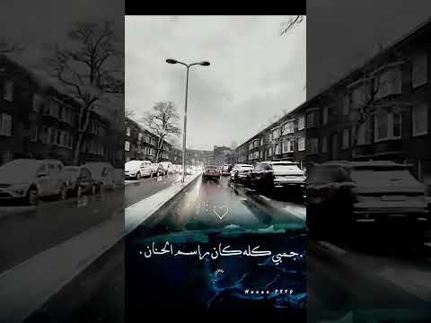 بس كلو عارف يلي ليه Mazen9990 اكسبلور ستوريات