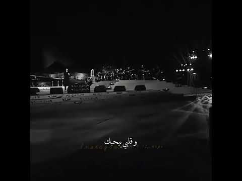 عينيا بتحبك تامر حسني اغاني