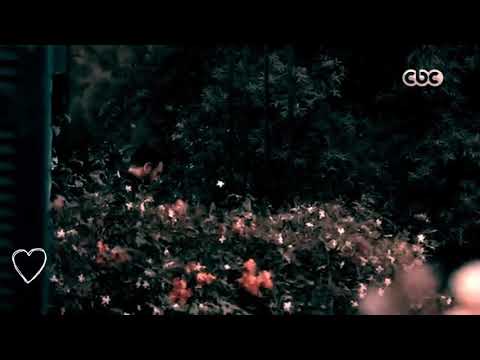 كاظم الساهر يارب قلبي لم يعد كافيا قصيدة كتاب الحب