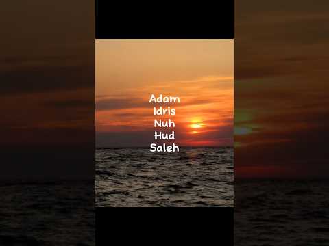25 Prophets Nasheed Nasheed ZainBhikha