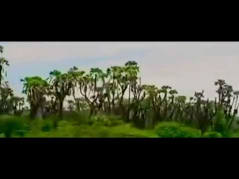 قاش بركة Gash Barka احمد ودالشيخ Ahmed Wad Sheikh قاش بركة Gash Barka احمد ودالشيخ Ahmed Wad Sheikh