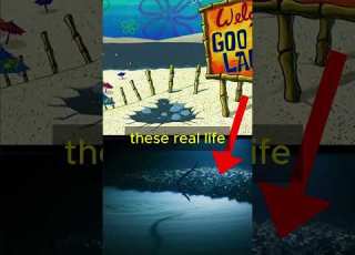 Is SpongeBob ACTUALLY Underwater