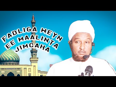 Fadliga Weyn Ee Maalinta Jimcaha Sheekh Xuseen Cali Jabuuti Alle Ha Xifdiyo Alfa Salaam TV Fadliga Weyn Ee Maalinta Jimcaha Sheekh Xuseen Cali Jabuuti Alle Ha Xifdiyo Alfa Salaam TV