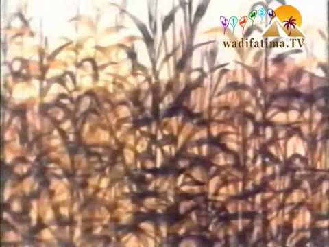 الرجل الذي فقد ظله