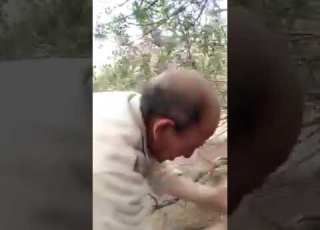 طيبي طيبي يا الخريديلة طيبي