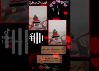 ٦ يناير ٢٠٢٣