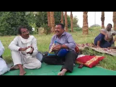 معاويه المقل سحيبات المواسم