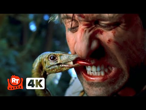 The Lost World Jurassic Park 1997 4K The Compy Kill Movieclips