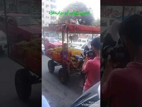 موهبة طفل فلسطيني بائع العنب أحمد عدوية يغني في شوارع غزة ما بلاش اللون دا معانا