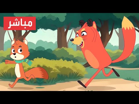 قناة أسرتنا مباشر أغاني جديدة Live
