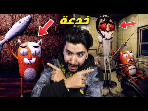 هذا القط المسكين فقد كل أسنانه لهذا السبب Coco The Scaredy Cat