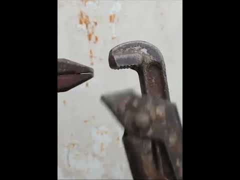 روح يانسيم لارضها سلملي على اللي بحبها Agt Americasgottalent Magic Miracle