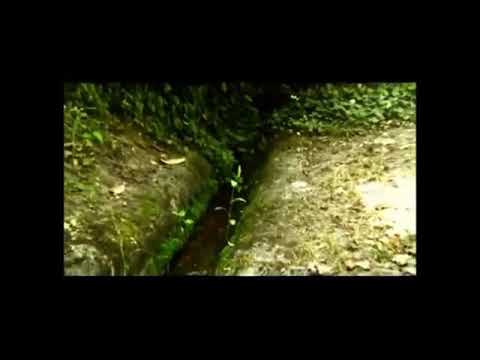 Cantique Des Saints LA SAMARITAINE Sr Gaelle Prophète Billy